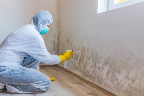 Hvac And Air Duct Mold Remediation inspection of HVAC system in Westwood